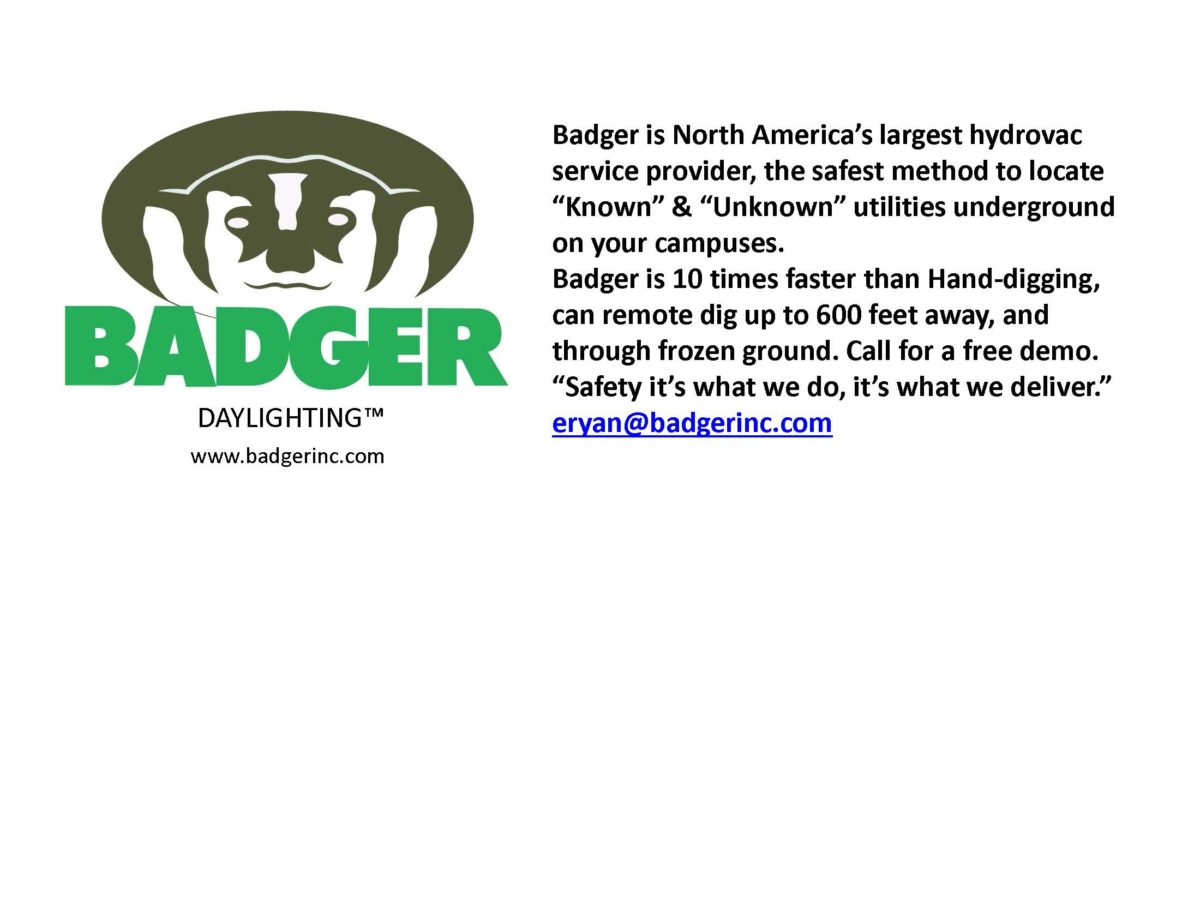 Badger logo